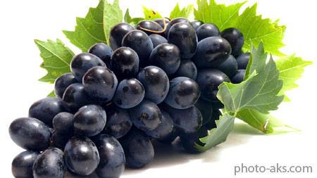 خوشه انگور سیاه black grapes