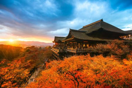 طبیعت پاییز در ژاپن autumn in japon