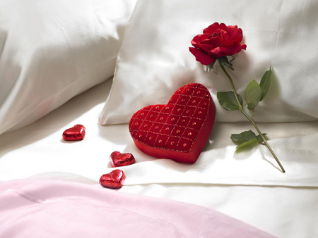 شاخه گل رز روی تخت خواب love heart rose flower