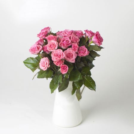 گلدان گل رز صورتی miniature roses