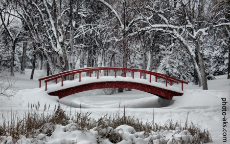 پل برفی در زمستان park in winter
