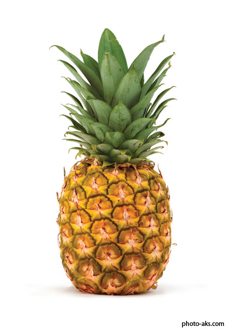 آناناس pineapple ananas