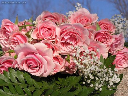 دسته گل رز صورتی pink rose