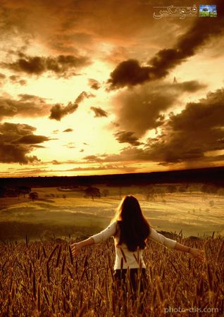عکس رومانتیک دختر در گندم زار girl in Cropland on sunset