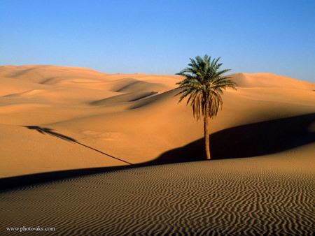بیابان های صاحارا sahara desert
