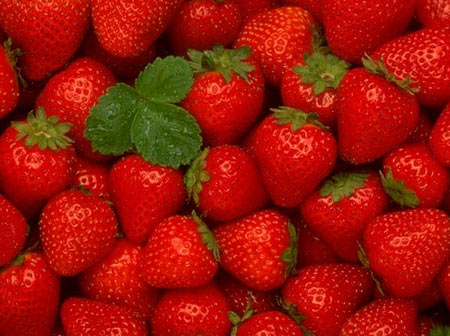 والپیپر زیبا از توت فرنگی قرمز strawberry red wallpaper