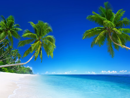 منظره زیبا سواحل آرام استوایی tropical beach paradise