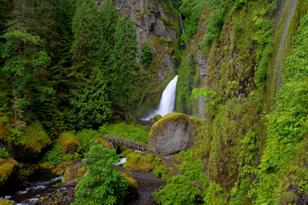 منظره طبیعت آبشار سرسبز زیبا beautiful green waterfall