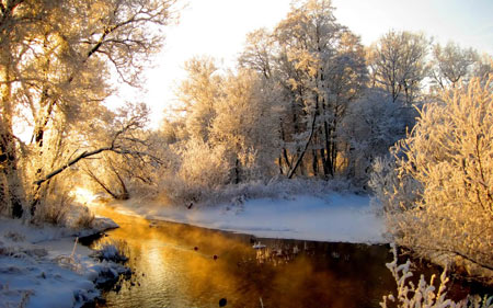 منظره طبیعت زمستانی 2016 winter river forest