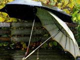 عکس پروفایل چتر زیر باران