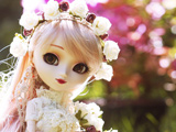 عکس عروسک با تاج گل رز