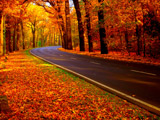 منظره زیبای جاده پاییزی