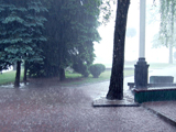 عکس بارانی زیبا