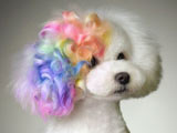 سگ با موهای رنگی