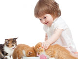 عکس بازی دختر بچه با گربه ها