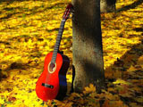 عکس گیتار قرمز در پاییز
