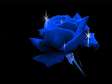 گل رز آبی با زمینه سیاه
