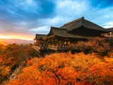 طبیعت پاییز در ژاپن