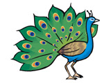 عکس نقاشی کارتونی طاووس