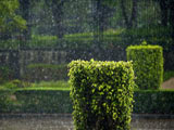 عکس بارش زیبای باران در طبیعت