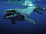 عکس نهنگ دایناسور زیر آب