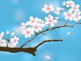 نقاشی شکوفه بهاری