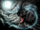 گرگ در زیر نور ماه